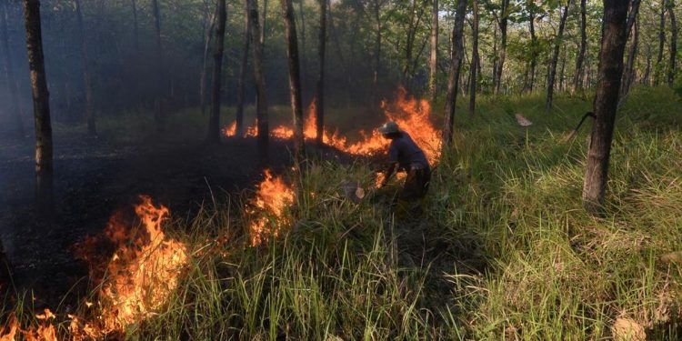 Karhutla di Bangka Tengah Mencapai 118 Hektare Juli hingga Agustus 2026