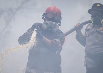 17 Tersangka Ditahan dalam Kasus Karhutla menurut Polda Sumsel