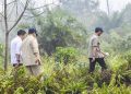 Prabowo Kunjungi Riau untuk Tinjau Penanganan Karhutla di Sumatra