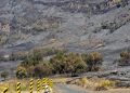 Kebakaran Mengakibatkan Savana Gunung Bromo Menghitam