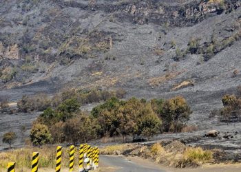 Kebakaran Mengakibatkan Savana Gunung Bromo Menghitam