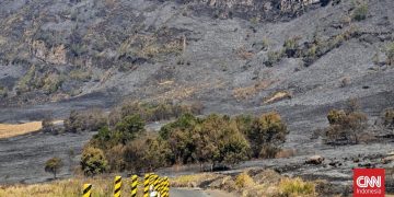 Kebakaran Mengakibatkan Savana Gunung Bromo Menghitam