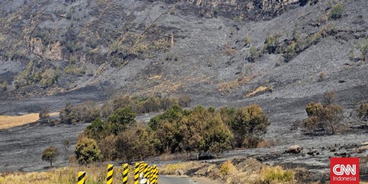 Kebakaran Mengakibatkan Savana Gunung Bromo Menghitam
