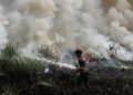 Kesaksian Aktivis tentang Penyebab Karhutla Diduga dari Pembukaan Lahan