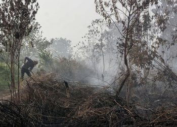 Kebakaran Lahan di Kulon Progo Terjadi di Bendungan Kamijoro