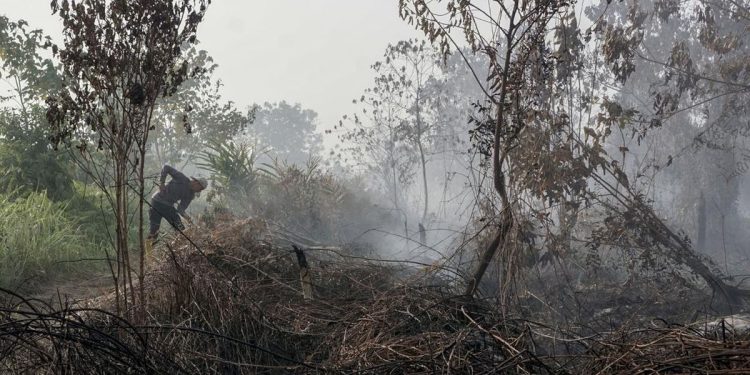 Kebakaran Lahan di Kulon Progo Terjadi di Bendungan Kamijoro
