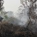 Kebakaran Lahan di Kulon Progo Terjadi di Bendungan Kamijoro