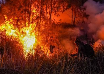 Dugaan Awal Kebakaran Bromo Menurut Wagub Jatim: Kelalaian Manusia