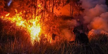 Dugaan Awal Kebakaran Bromo Menurut Wagub Jatim: Kelalaian Manusia