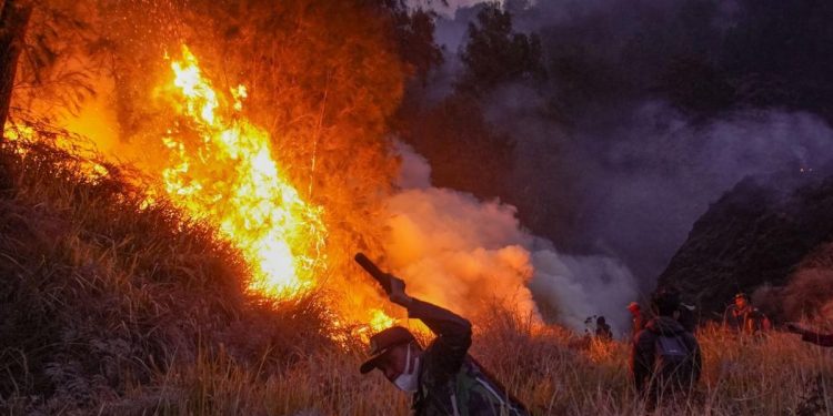 Kebakaran Bromo Meluas Hingga 742 Hektare