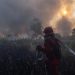 Kenaikan Hotspot Karhutla Kalsel, Penambahan Pasukan Darat dan Water Bombing
