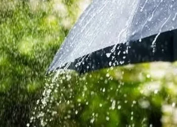 Sejumlah Kota Besar Berpotensi Hujan Menurut BMKG, Cek Daftar Lengkapnya