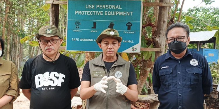 Menteri Kehutanan Minta Waspada Kebakaran Hutan Meski Titik Panas Menurun