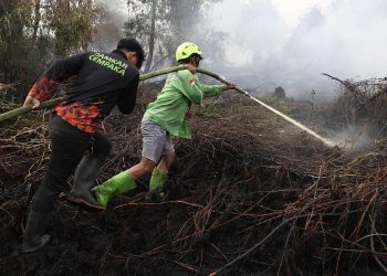 Kebakaran Hutan Menyebabkan 50.891 Kasus ISPA dalam Dua Bulan