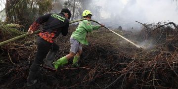 Kebakaran Hutan Menyebabkan 50.891 Kasus ISPA dalam Dua Bulan