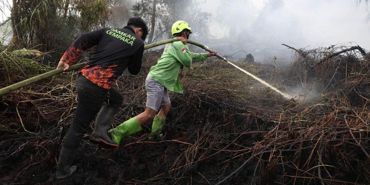 Kebakaran Hutan Menyebabkan 50.891 Kasus ISPA dalam Dua Bulan
