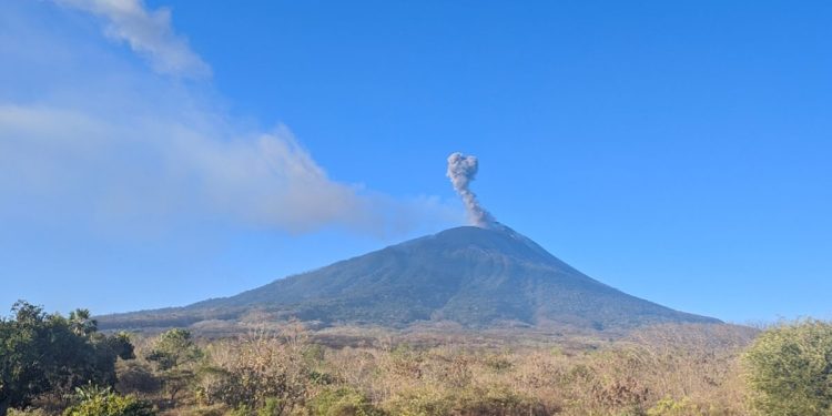 Ili Lewotolok Erupsi Empat Kali dalam 48 Jam, Kolom Abu Mencapai 600 Meter