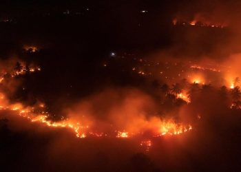 Kebakaran di Kawasan Gunung Ijen, Api Meluas di Cagar Alam