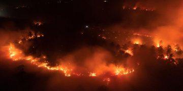 Kebakaran di Kawasan Gunung Ijen, Api Meluas di Cagar Alam