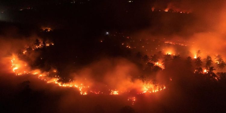 Kebakaran di Kawasan Gunung Ijen, Api Meluas di Cagar Alam