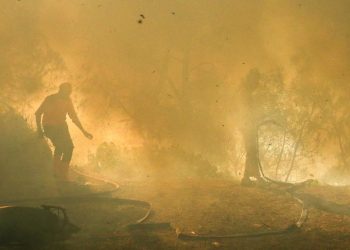 Karhutla Gunung Merapi Ungup-Ungup TWA Kawah Ijen Luasnya Capai 20 Hektare