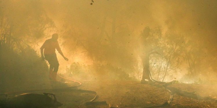 Karhutla Gunung Merapi Ungup-Ungup TWA Kawah Ijen Luasnya Capai 20 Hektare