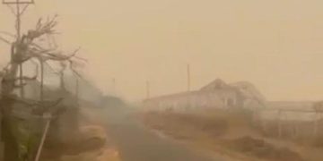 Kebakaran Hutan di Papua Menyebabkan Kabut Asap di Mimika