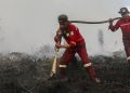 Update Kebakaran Hutan Kalteng Tertinggi
