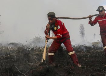 Update Kebakaran Hutan Kalteng Tertinggi