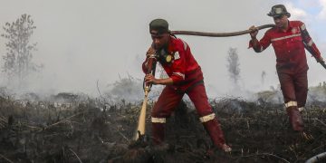 Update Kebakaran Hutan Kalteng Tertinggi