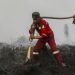 Update Kebakaran Hutan Kalteng Tertinggi