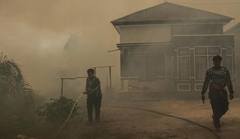 Akses Sulit dan Krisis Air Ganggu Pemadaman Karhutla di Kalimantan