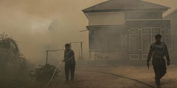 Akses Sulit dan Krisis Air Ganggu Pemadaman Karhutla di Kalimantan