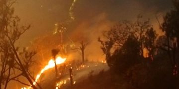 Polri Tetapkan 245 Tersangka Kebakaran Hutan dan Lahan Area Terbakar 5.859 Hektare