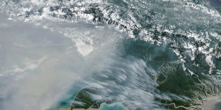 Jumlah Titik Panas Karhutla di Papua Selatan Menurun, Tersisa 65 Hotspot
