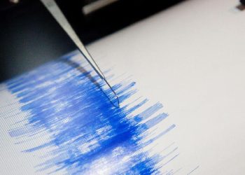 Flores Terus Diterpa Rangkaian Gempa