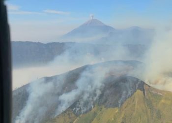 Kebakaran Hutan Terjadi di Lima Wilayah Gunung Jawa Timur