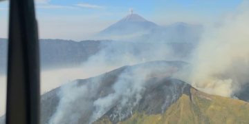 Kebakaran Hutan Terjadi di Lima Wilayah Gunung Jawa Timur