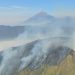 Kebakaran Hutan Terjadi di Lima Wilayah Gunung Jawa Timur