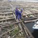 TNI AL Amankan 2 Kapal yang Menyembunyikan 8 Ribu Kayu Ilegal di Pulau Buru