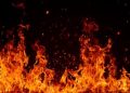 Kebakaran Lahan 7 Hektare di Palembang Hampiris Rumah Warga