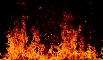 Kebakaran Lahan 7 Hektare di Palembang Hampiris Rumah Warga