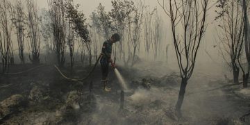 Minim Dukungan, Relawan Karhutla Tanjung Puting Menghadapi Kesulitan