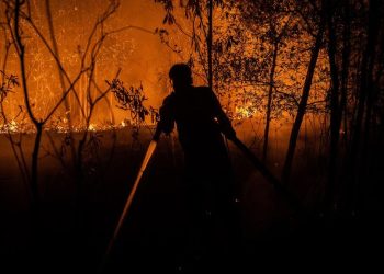 9 Relawan Terpaksa Meninggal Saat Berusaha Memadamkan Kebakaran Hutan dan Lahan