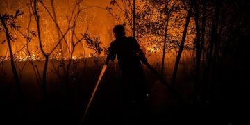 9 Relawan Terpaksa Meninggal Saat Berusaha Memadamkan Kebakaran Hutan dan Lahan