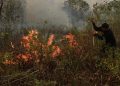Malaysia Tawarkan Bantuan Pesawat dan Helikopter untuk Atasi Kebakaran Hutan dan Lahan