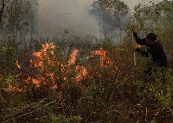 Malaysia Tawarkan Bantuan Pesawat dan Helikopter untuk Atasi Kebakaran Hutan dan Lahan