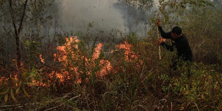 Malaysia Tawarkan Bantuan Pesawat dan Helikopter untuk Atasi Kebakaran Hutan dan Lahan