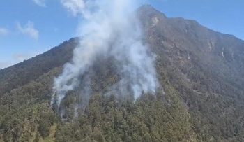 Kebakaran Kembali Terjadi di Gunung Arjuno