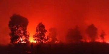 Karhutla Mengancam Jalur Gajah dan Rusa di Taman Nasional Way Kambas Lampung